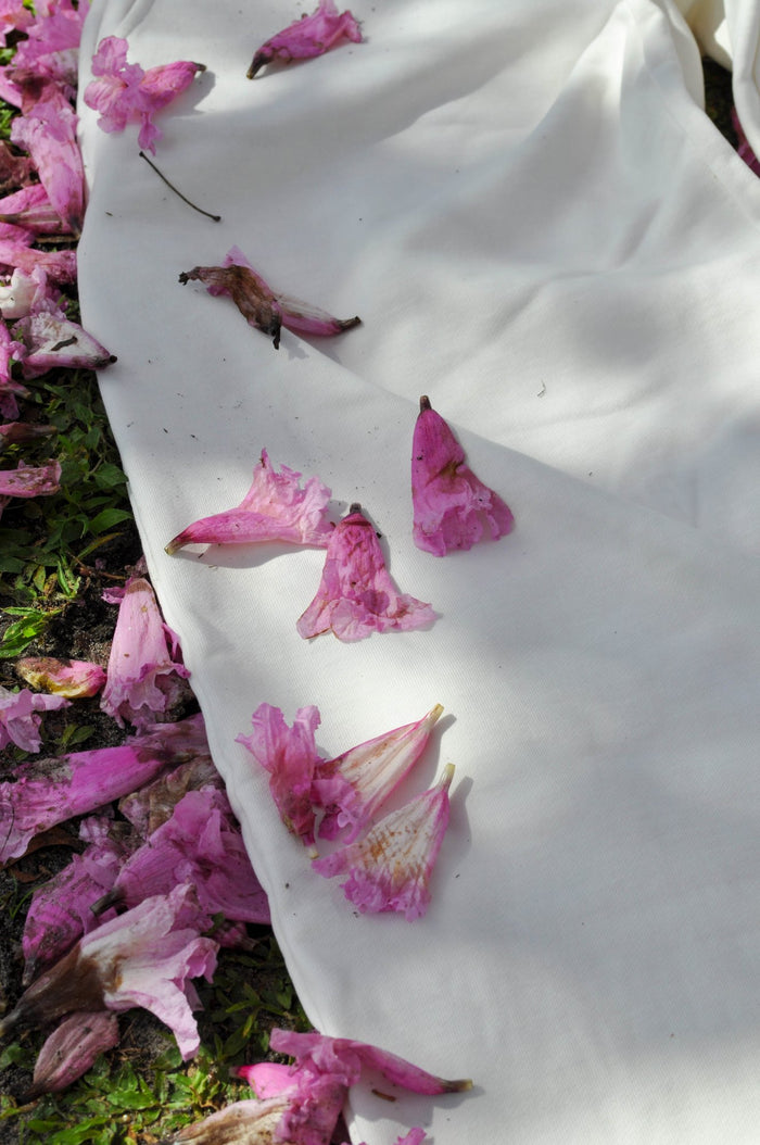 rennsweat blush press image 3